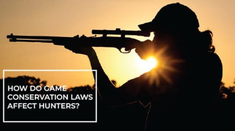 How Do Game Conservation Laws Affect Hunters