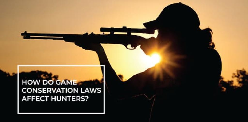 How Do Game Conservation Laws Affect Hunters