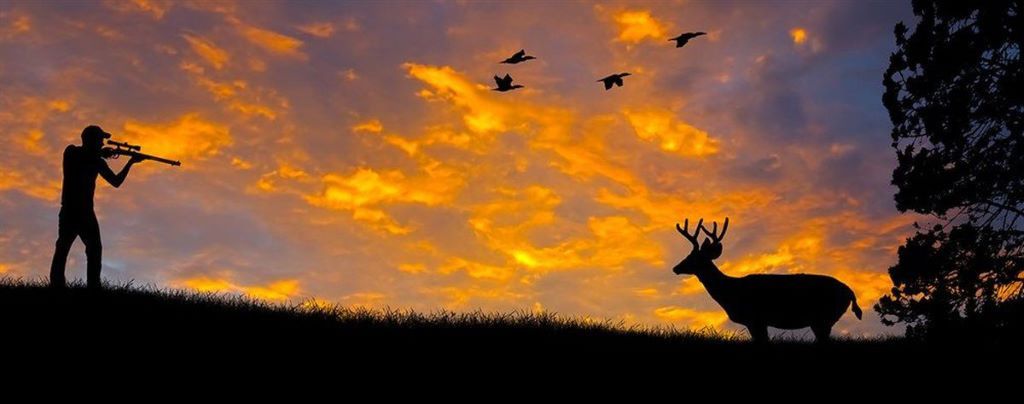 Key Conservation Laws that Impact Hunting
