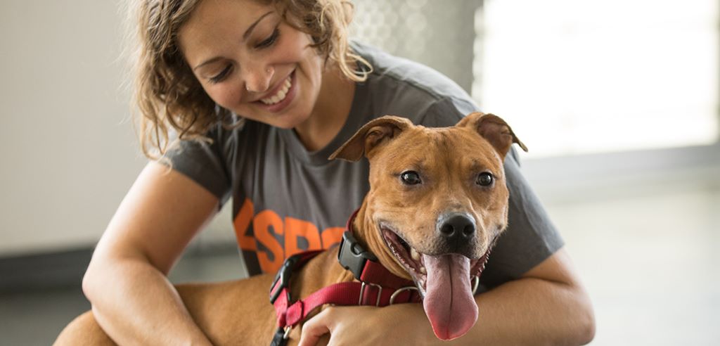 What to expect when adopting a pet?